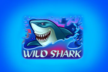 Wild Shark